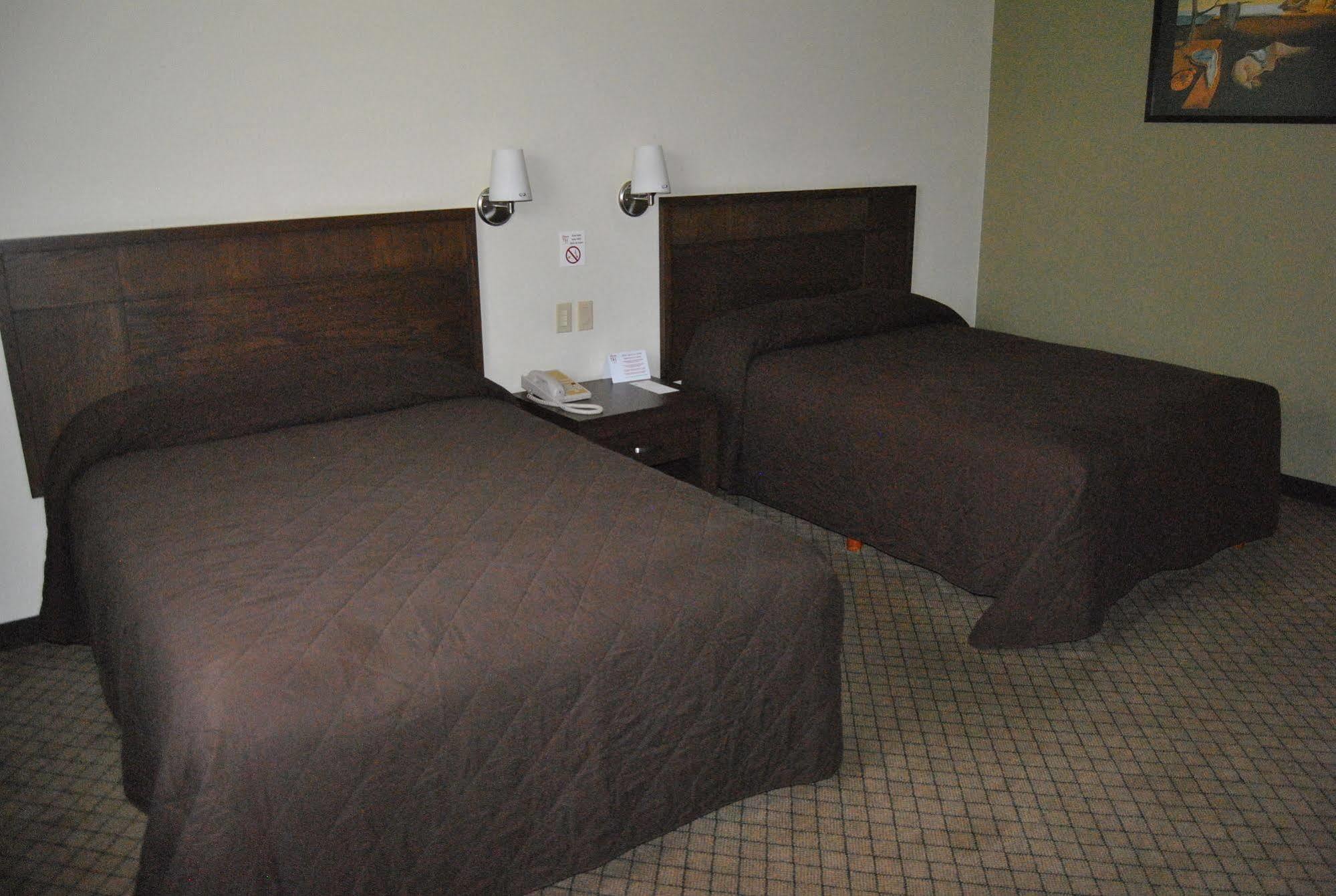 מטמורוס Hotel Alameda Express מראה חיצוני תמונה